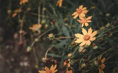 加快建设国家植物园体系