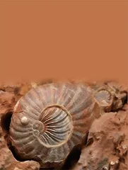 远古热河众多现生生物从这里走出