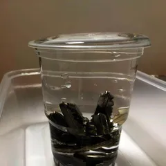 神奇的表面张力2