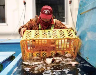 吃下核污染食品后果有多严重？