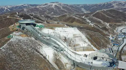 雪如意