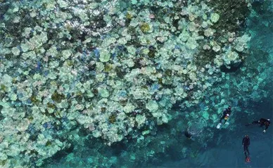 大海不是在变暖,而是在沸腾2