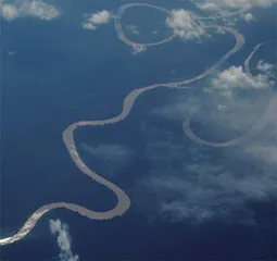 控制全球变暖保护生物多样性