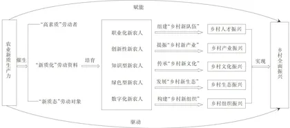 农业新质生产力赋能乡村全面振兴：基于新农人培育的路径探索