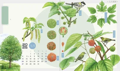 构树