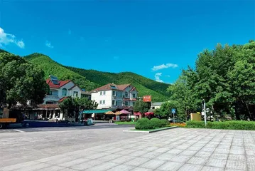 浙江安吉：绿电“碳索”新动能