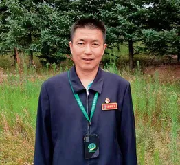 一棵树长成一片林海