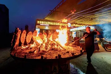 这片生机勃勃的土地1