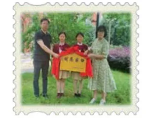 七年探看一棵树
