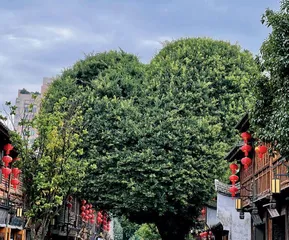 文脉赓续：唤醒城市的历史记忆4