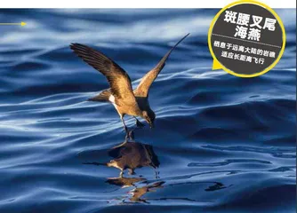 圣赫勒拿岛：屹立在大西洋中的“流放岛”3