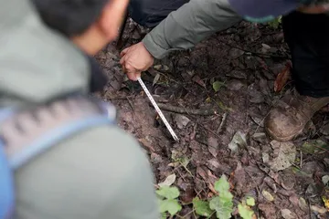 当猎人停止狩猎1