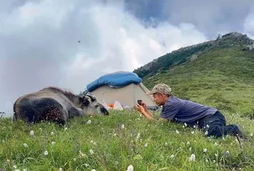当猎人停止狩猎8