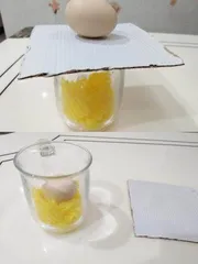 手机计步1