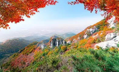 沂蒙革命老区到底在哪里?4