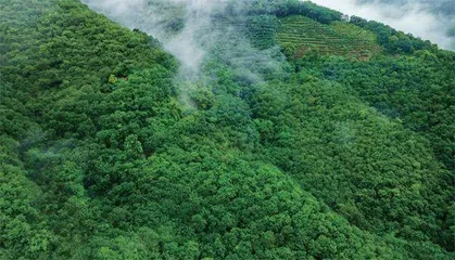 云南已建设各级各类自然保护地362个1