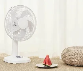 夏日谣言泛滥秋风“吹来”真相2