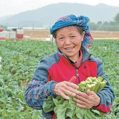 海陆丰革命老区一颗红色种子结出累累硕果3
