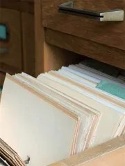 档案守护人类历史记忆