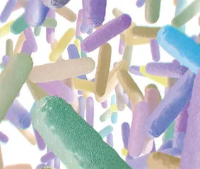 菌群作战VS无稽之谈起底暴利益生菌