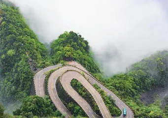 湘鄂渝黔振兴发展跑出“加速度”
