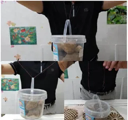 石拱桥:千年不倒的奥秘3