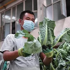 多地大旱会引发粮价、菜价上涨吗?1