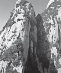 文人与恐高症