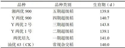 不同超级稻品种产量形成与光合特性研究