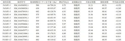 烟草NtJAR1家族基因的鉴定及生物信息学分析