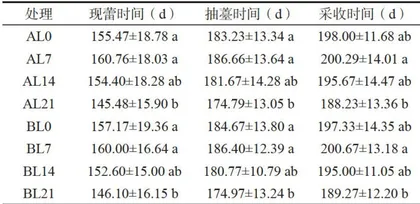 春化处理对朝鲜蓟现蕾时间和产量的影响2