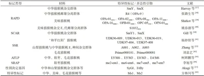 弼猴桃性别决定机制与鉴定方法研究进展7
