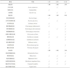 渤海湾春、夏、秋浮游动物群落时空变化特征4