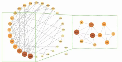 基于网络药理学探讨黄芪治疗对虾白斑综合征的作用机制3