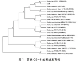 一株耐低温抗盐碱异养硝化菌株CS-6的除氮特性研究4