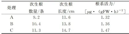 黄棕腐植酸钾有机肥在枸杞上的施用效果2