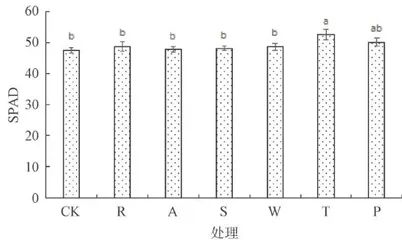 生草栽培对鲁西南地区樱桃园土壤理化性质的影响3