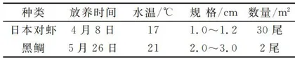 日本对虾、黑鲷混养试验2