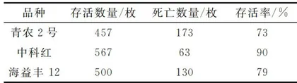 北戴河沿海“青农2号”海湾扇贝养殖效果评价1