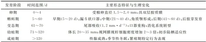 黑斑蛙养殖关键技术与常见病害防治1