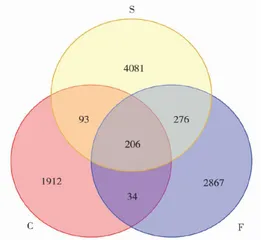南美白对虾两种养殖模式水体微生物群落特征研究2