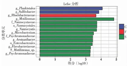 南美白对虾两种养殖模式水体微生物群落特征研究4