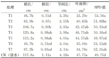 PBO与三唑类农药对‘苏翠1号’梨枝条叶片及果实生长的影响4