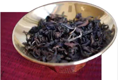 东方美人，被虫子“咬出来的”传奇好茶2
