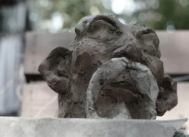 向相机学习3