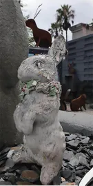 救兔子：一种留住家园的隐喻4