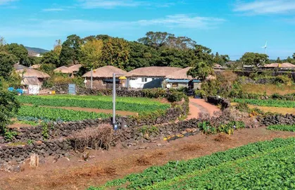济州岛，滤镜之后7