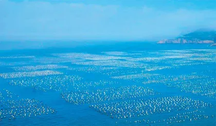 用科技深耕蓝海