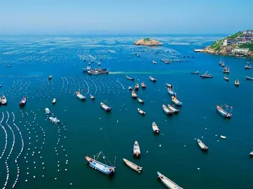 浙江：“蓝色动能”澎湃1