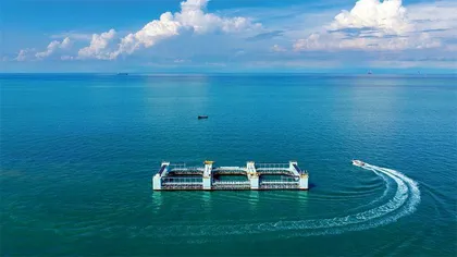 海洋经济踏浪逐梦1
